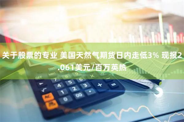 关于股票的专业 美国天然气期货日内走低3% 现报2.061美元/百万英热